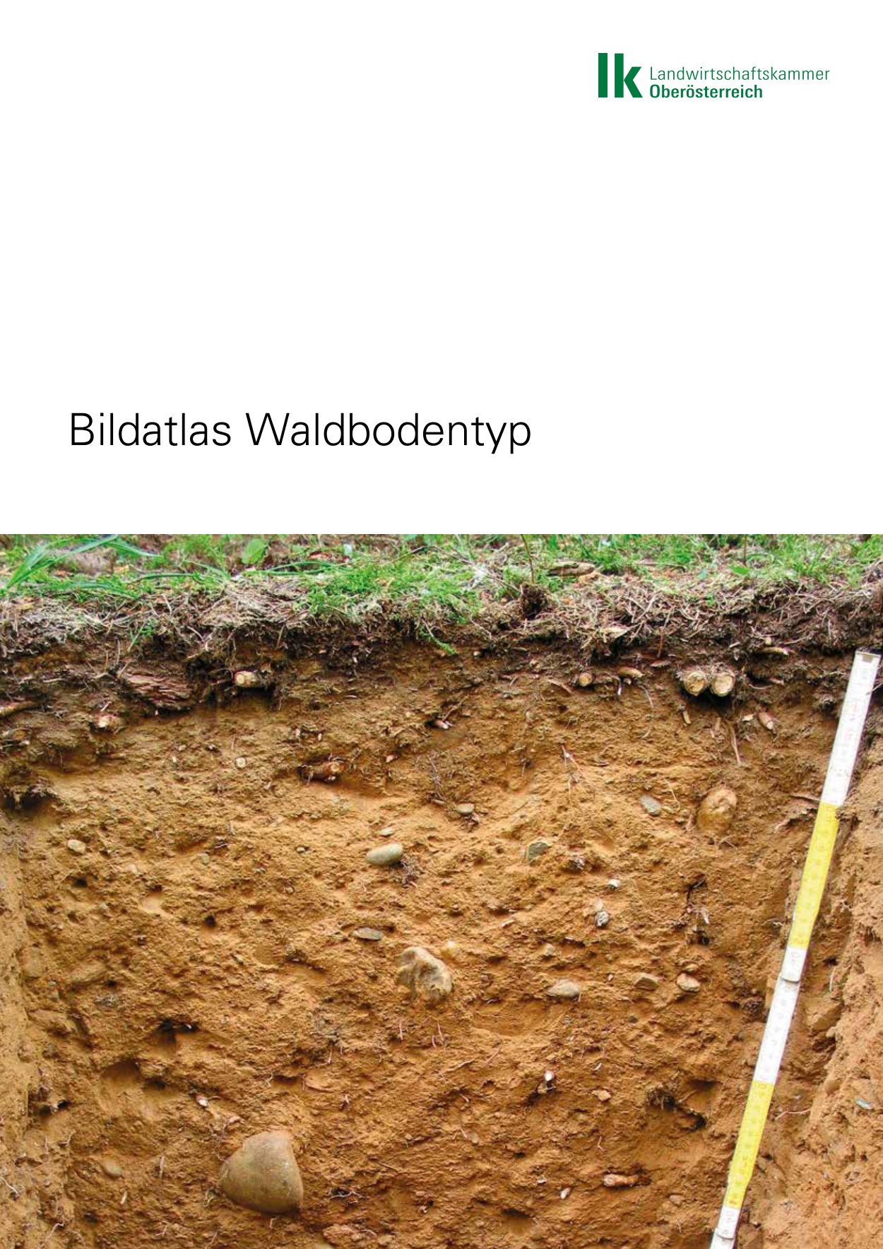 [webcatalog=2834383]
