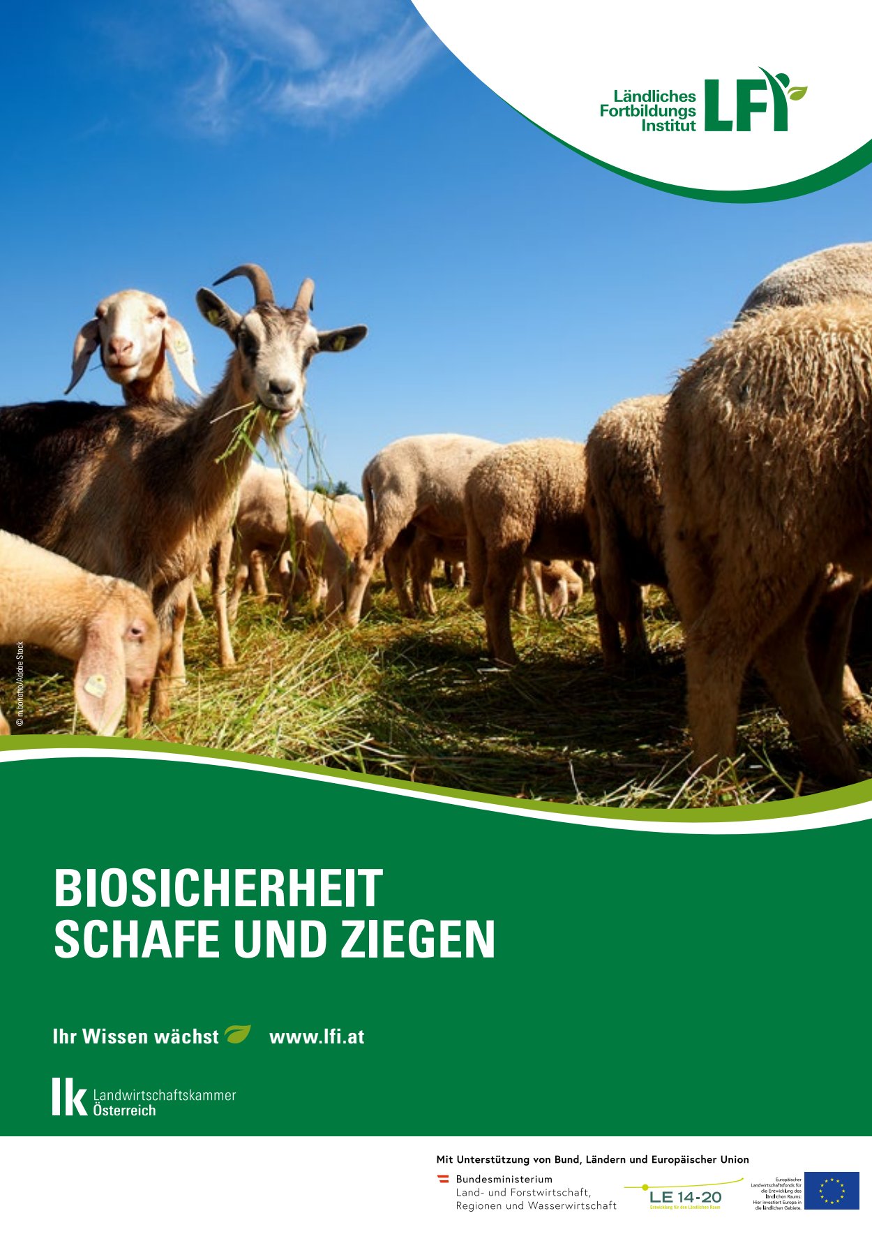 [webcatalog=2834401]