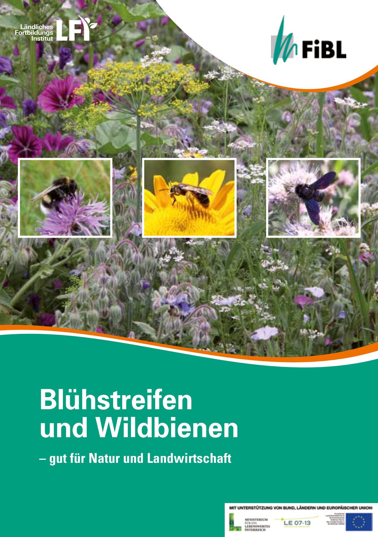 [webcatalog=2834409]