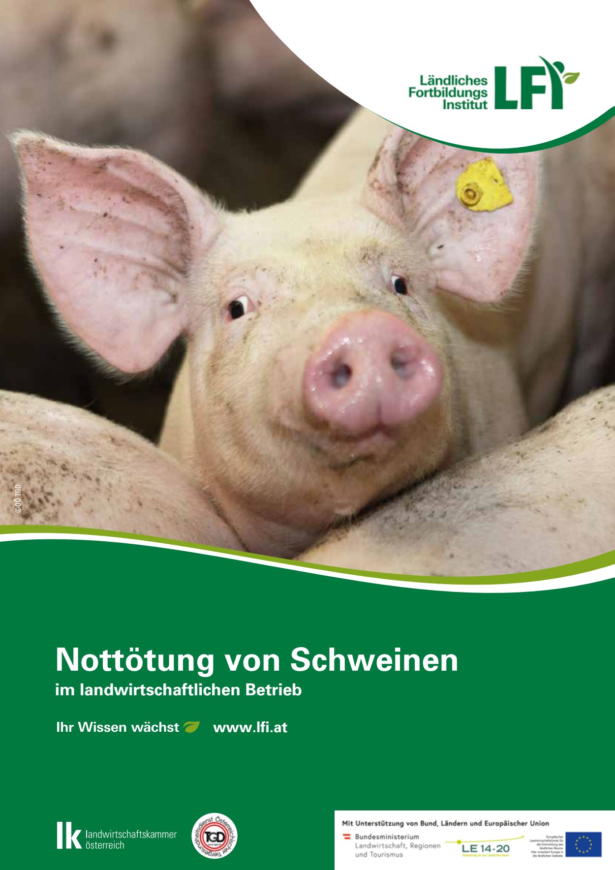[webcatalog=2834453]