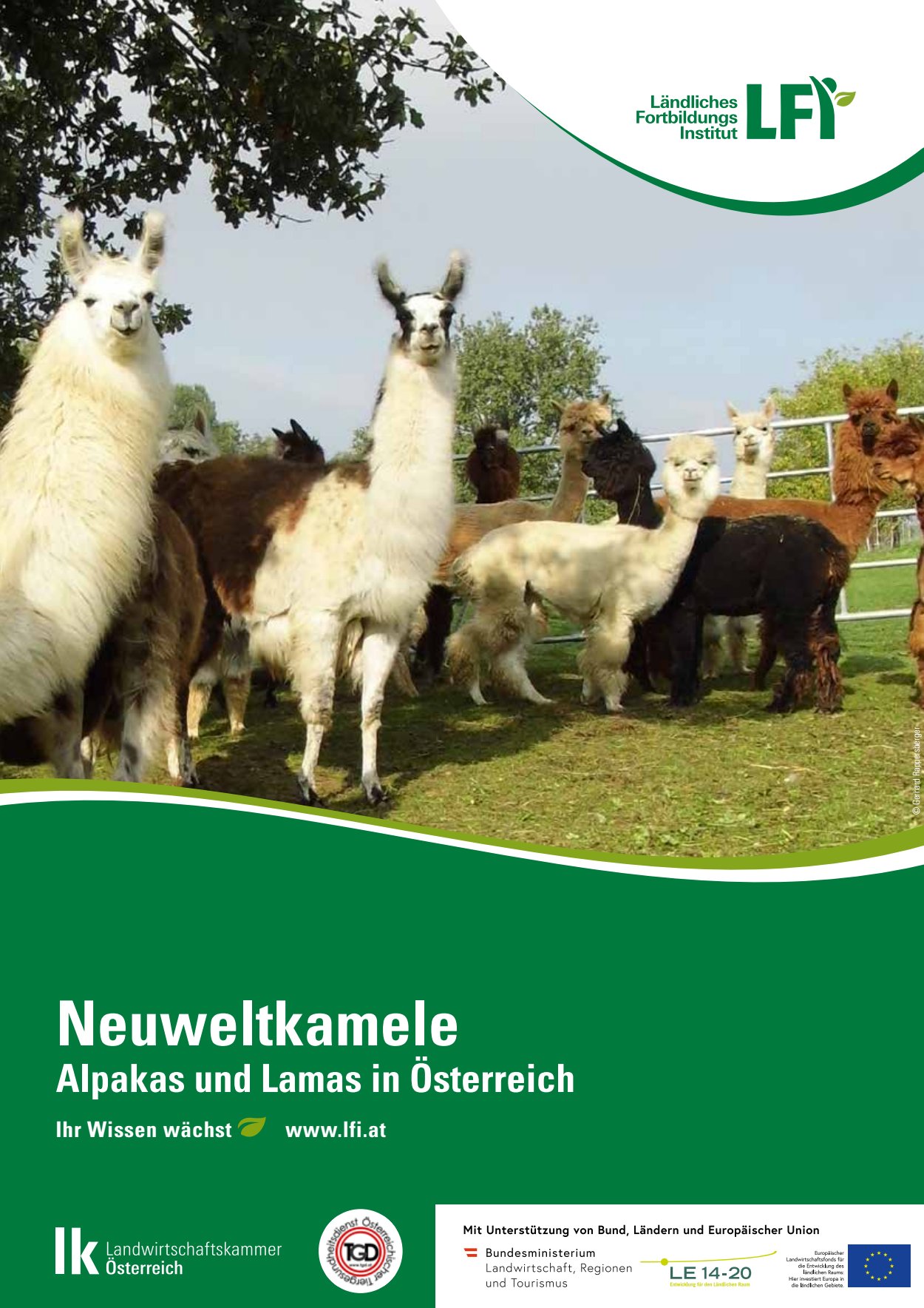 [webcatalog=2834590]