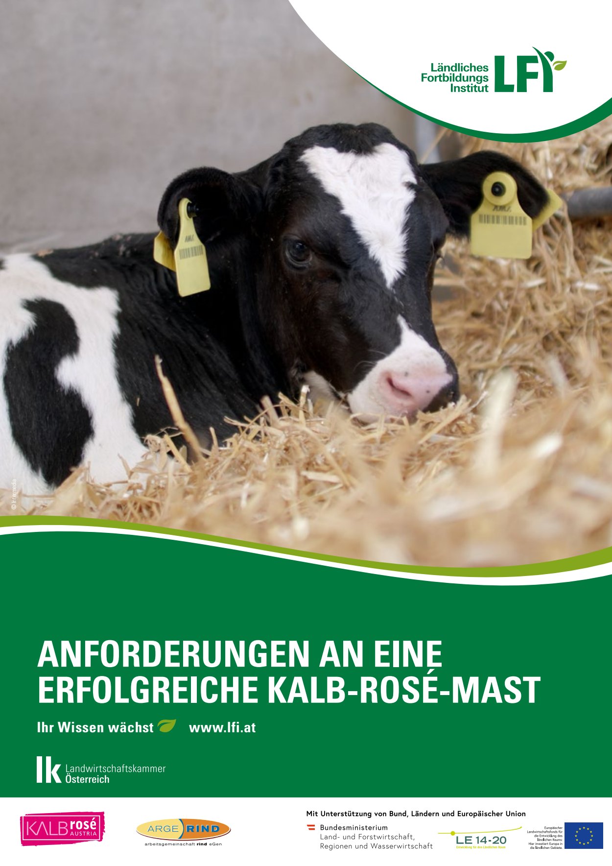 [webcatalog=2838733]