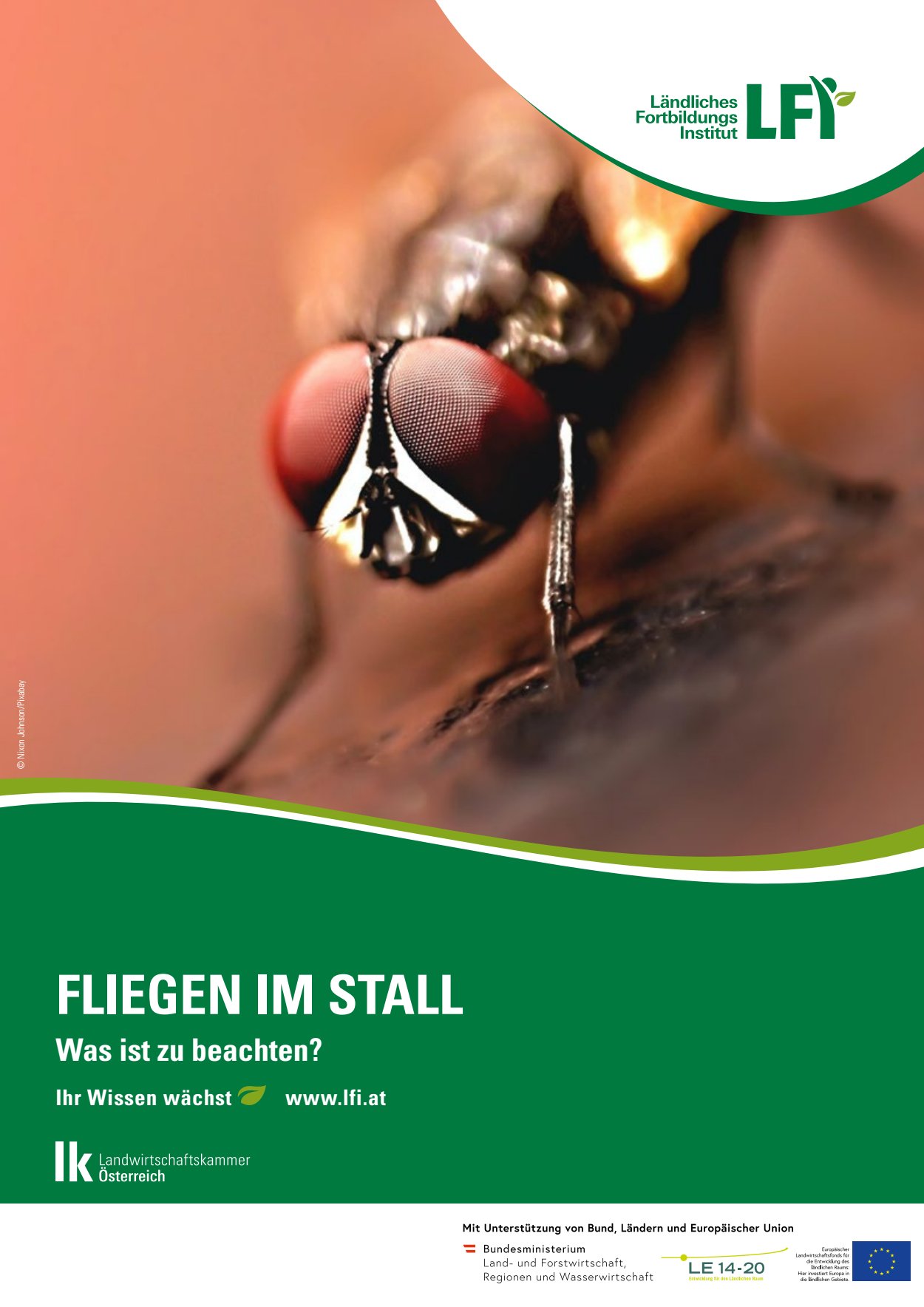 [webcatalog=2838769]